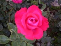 19a89162-Picture 105.jpg